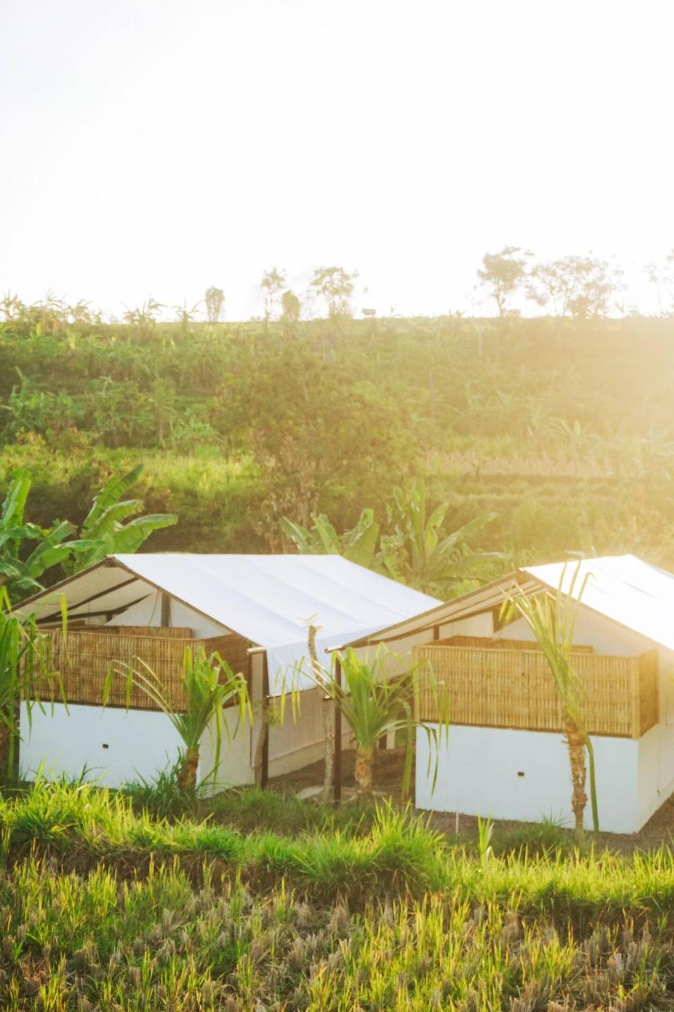 Camani Glamping Karangasem Exterior foto