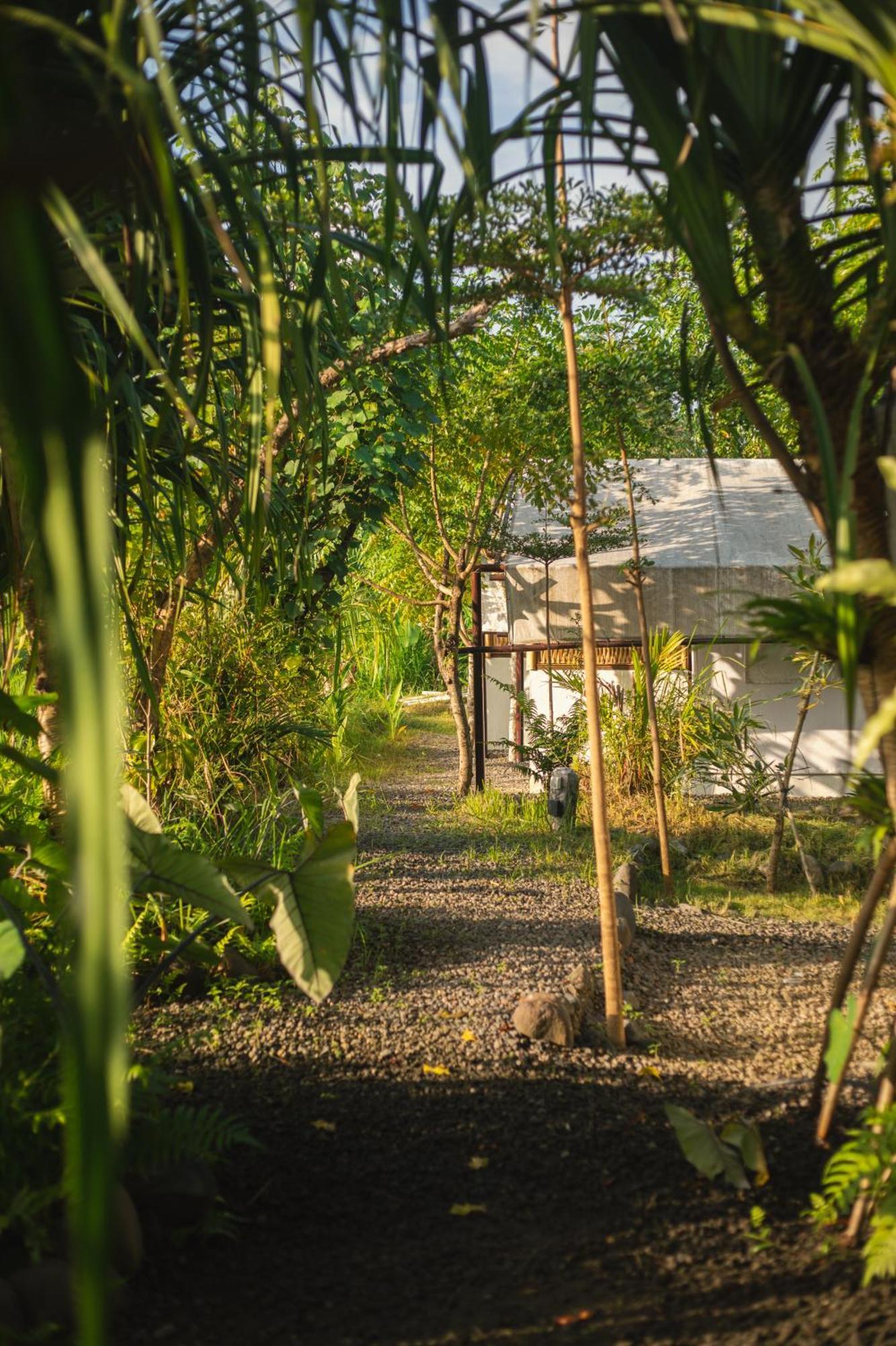 Camani Glamping Karangasem Exterior foto