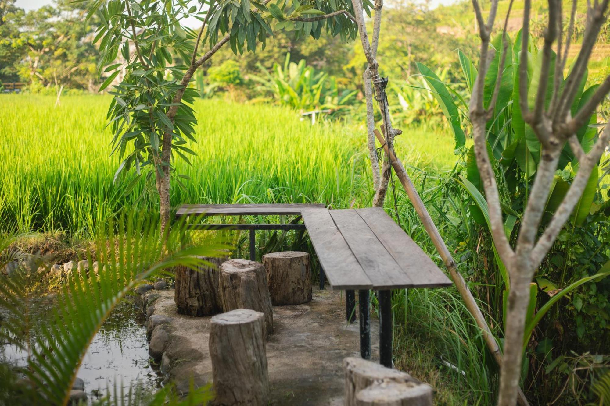 Camani Glamping Karangasem Exterior foto