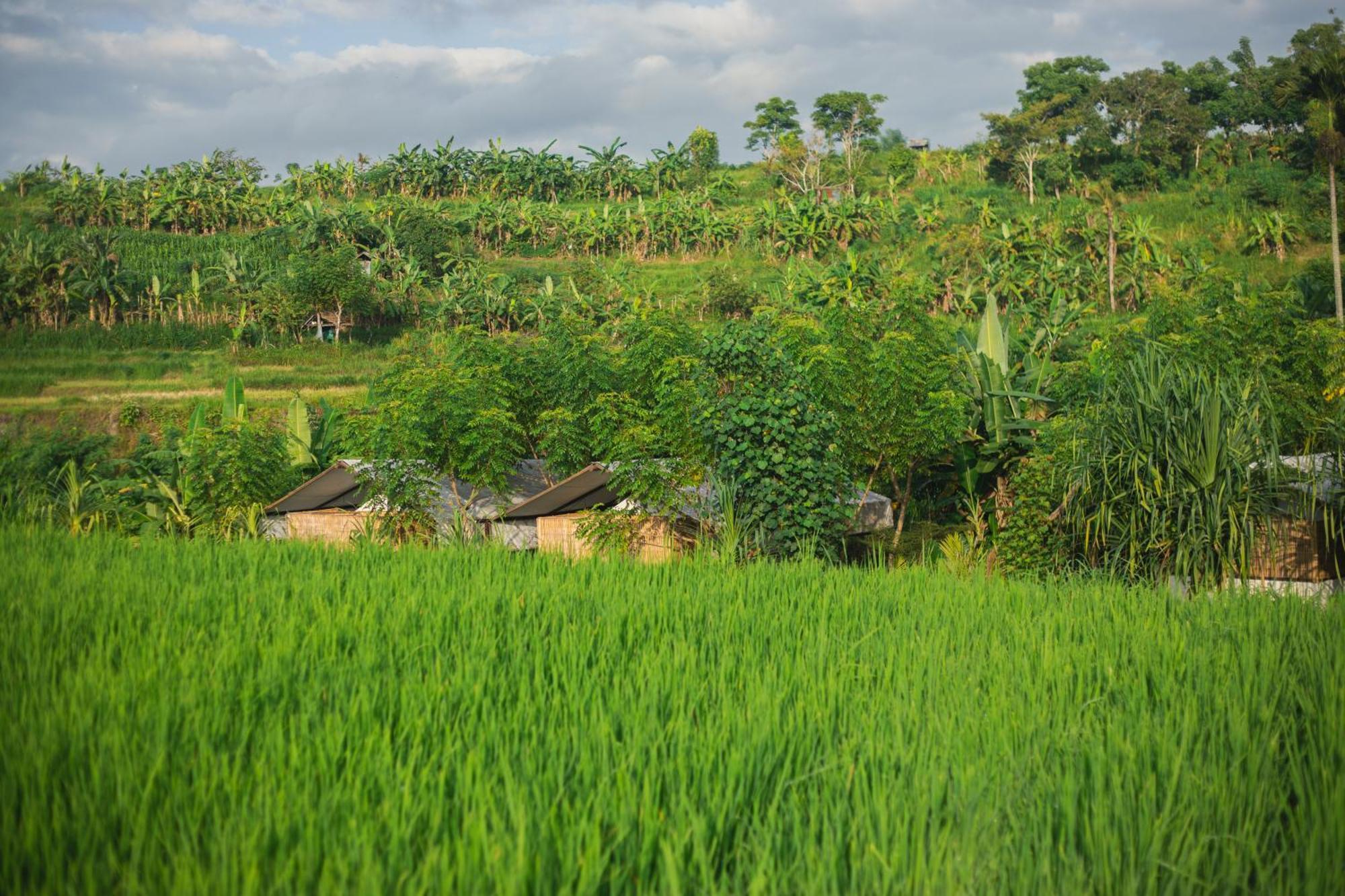 Camani Glamping Karangasem Exterior foto
