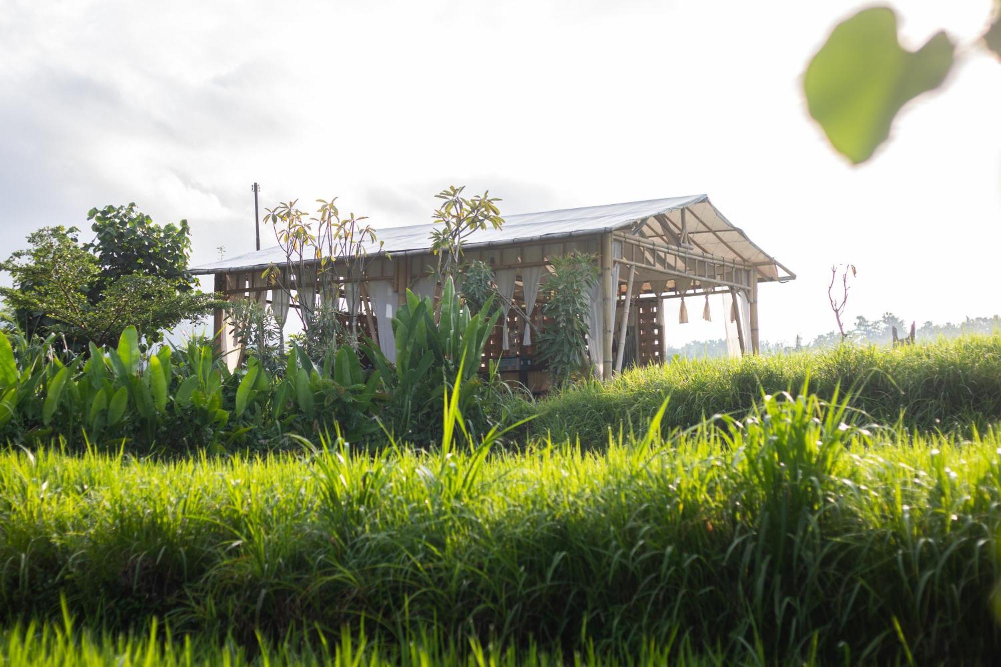Camani Glamping Karangasem Exterior foto